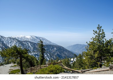 Mt. Baldy Hike In Angeles National Forest