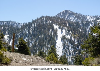 Mt. Baldy Hike In Angeles National Forest