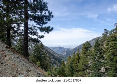 Mt. Baldy Hike In Angeles National Forest