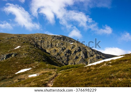 Mt Bogong 