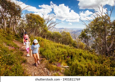 Mt Buller, Australia - January 12 2021: Misty Twist Trail With Family Hiking During Summer At Mt Buller In Victoria, Australia