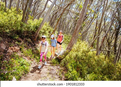 Mt Buller, Australia - January 14 2021: Mount Buller's Picnic Trail With Family Walking During Summer In Victoria, Australia