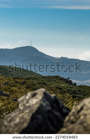 Mt Cargill from Flagstaff loop track in portrait perspective, Otago region, South Island, New Zealand