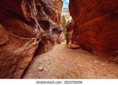 Mt Carmel Scenic Hwy And Zion National Park