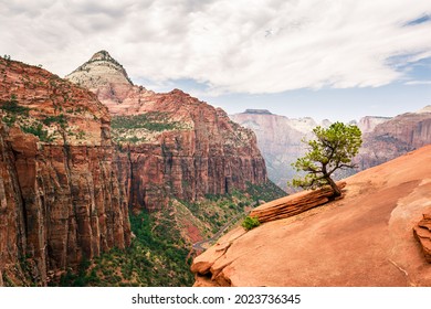 Mt Carmel Scenic Hwy And Zion National Park