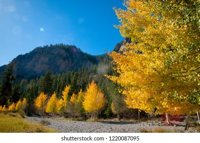 Mt. Charleston Fall Colors