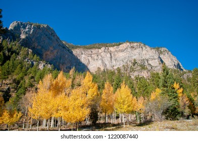 Mt. Charleston Fall Colors