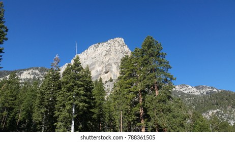 Mt Charleston Nevada