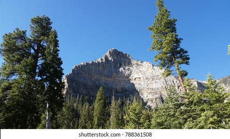 Mt Charleston Nevada