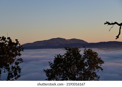 Mt Diablo In The Back Ground 