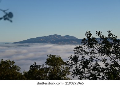 Mt Diablo Out In The Distance