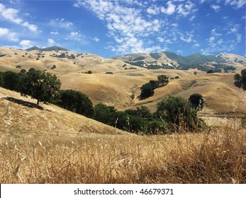 Mt. Diablo State Park, Foothills