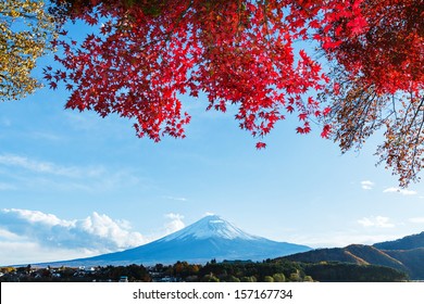 Mt. Fuji in autumn