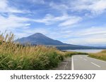 Mt. Fuji in autumn, Lake Yamanaka and the road leading to the lake, pampas grass growing on the side of the road