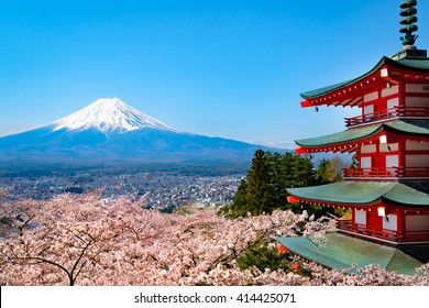 Mt. Fuji Cherry Blossom - Japan