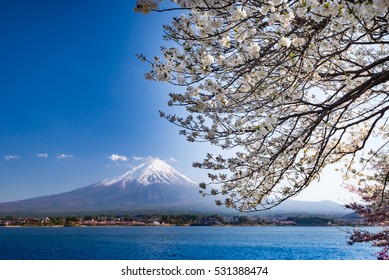 138 Mount fiji Images, Stock Photos & Vectors | Shutterstock