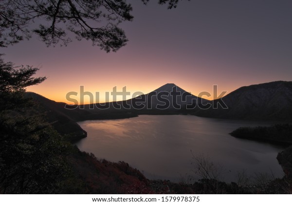 画像ページを表示します 画像