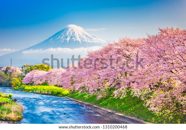 富士山 日本の春の風景 桜の花が咲く川 の写真素材 今すぐ編集