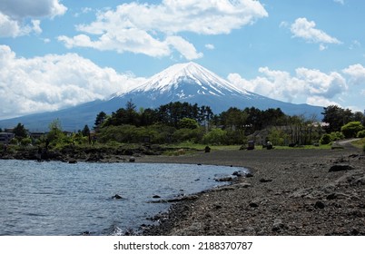 Mt. Fuji And Lake Kawaguchi, 