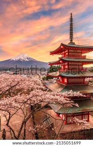 Mt. Fuji and pagoda as seen from Fujiyoshida, Japan during spring season with cherry blossoms.