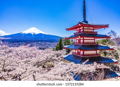 Mt. Fuji and sakura cherry blossoms in full bloom, Japan