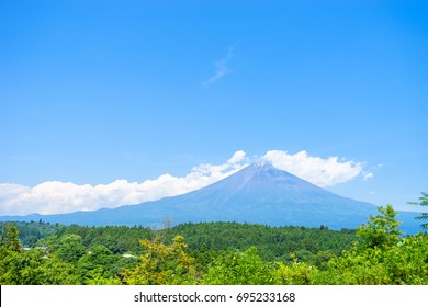 Mt. Fuji In The Summer