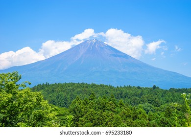 Mt. Fuji In The Summer