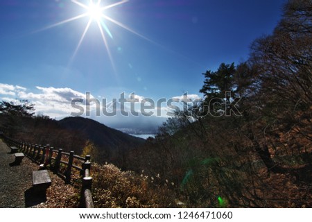 画像を等倍で表示します 画像