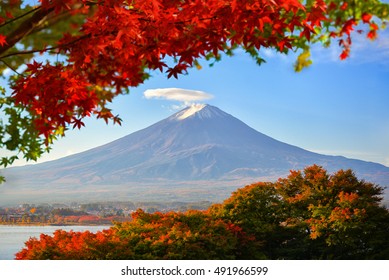 Mt. Fuji viewed with maple tree in fall colors in japan.