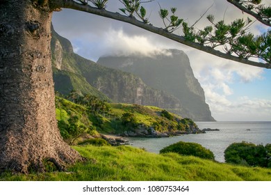 Mt Gower, Lord Howe Island