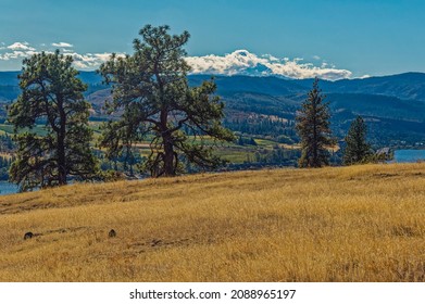 Mt Hood From Catherine Creek Recreation Area, Columbia River Gorge