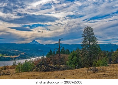 Mt Hood From Catherine Creek Recreation Area, Columbia River Gorge