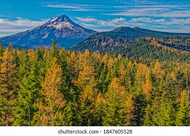 Mt. Hood, In The Mt. Hood National Forest