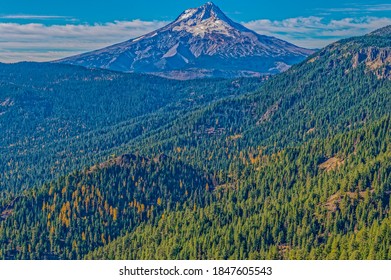 Mt. Hood, In The Mt. Hood National Forest