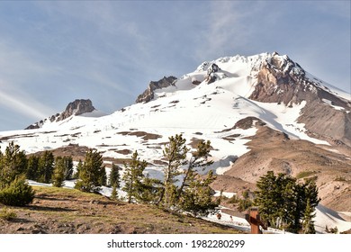 Mt Hood National Forest In Oregon