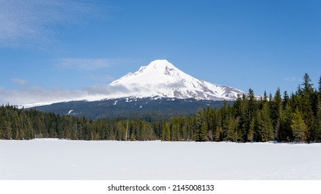 Mt Hood National Forest Snowy Spring