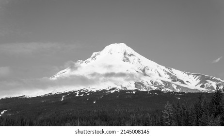 Mt Hood National Forest Snowy Spring