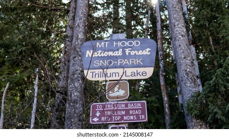 Mt Hood National Forest Snowy Spring