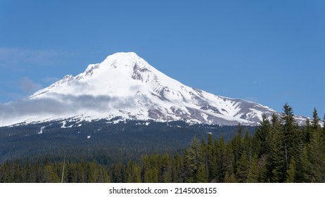 Mt Hood National Forest Snowy Spring