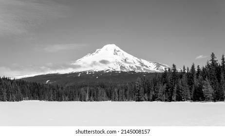 Mt Hood National Forest Snowy Spring