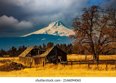 Mt Hood Oregon and an weathered falling down old barn near Maupin.
