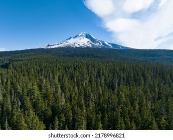Mt. Hood rises from surrounding forest in Oregon, not far from Portland. This impressive mountain, part of the Cascade Range in the Pacific Northwest, is a potentially active stratovolcano. - Shutterstock ID 2178996821