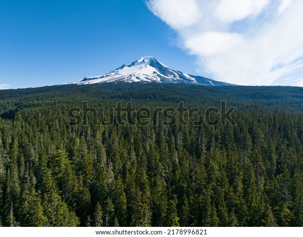 Mt. Hood rises from surrounding forest in\
Oregon, not far from Portland. This impressive mountain, part of\
the Cascade Range in the Pacific Northwest, is a potentially active\
stratovolcano.