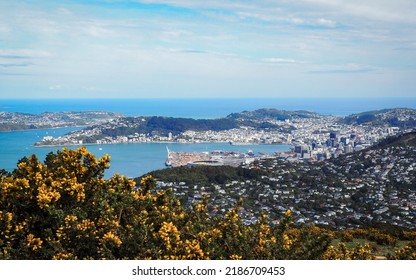 Mt KauKau. Wellington, New Zealand.

A view of Wellington, New Zealand from the Mount Kaukau viewpoint.  Views of the northern suburbs, stadium and the harbour.