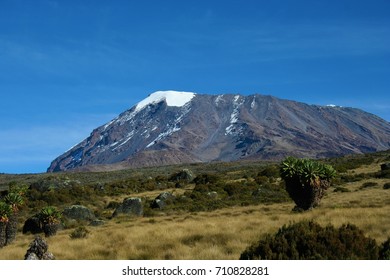 Mt. Kilimanjaro