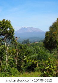 Mt Kilimanjaro In Tanzania