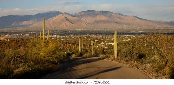 Mt. Lemmon, Tucson AZ