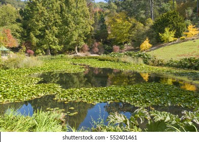 Mt Lofty Botanic Garden Images Stock Photos Vectors Shutterstock