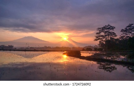 Mt/ Merapi In The Morninh Glory 