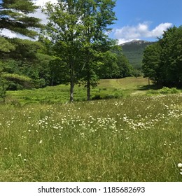 Mt Monadnock In The Spring